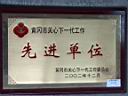 黃岡市獎(jiǎng)牌2
