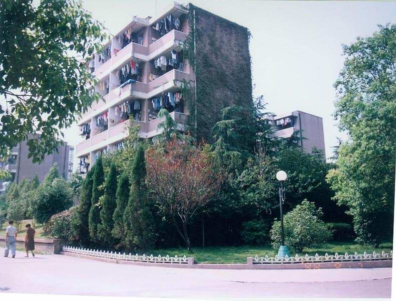綠色學(xué)校001