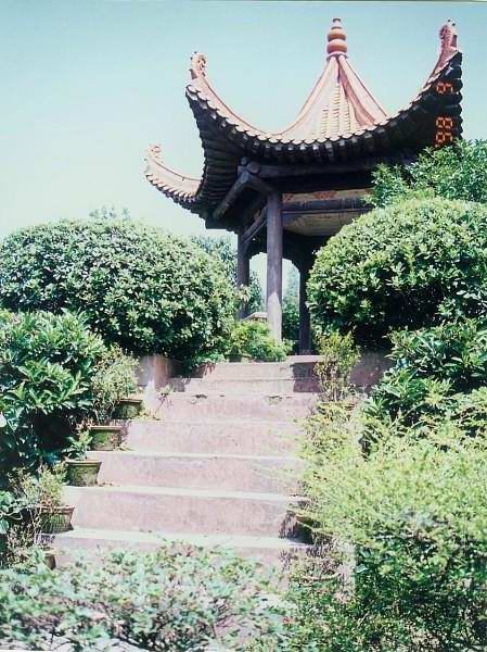 綠色學(xué)校011