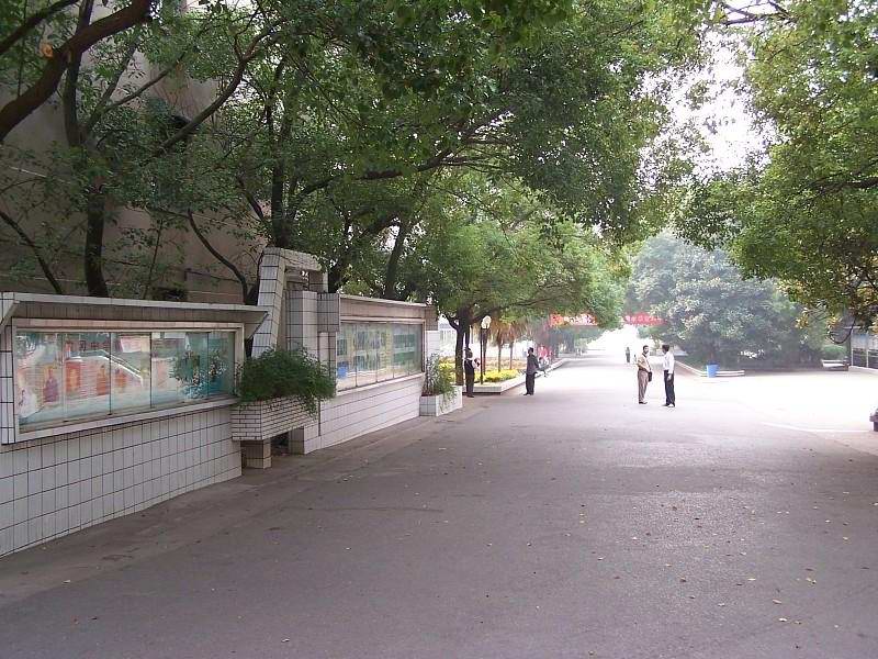 校園景色005