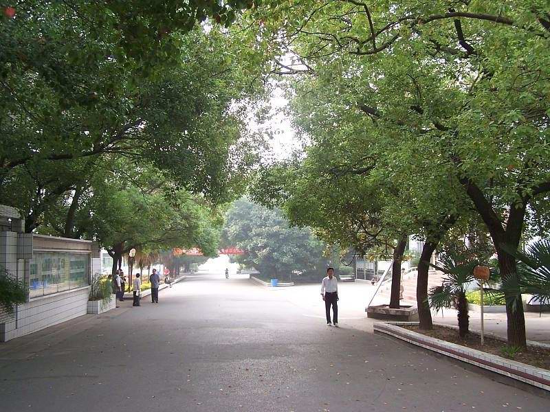 校園景色006